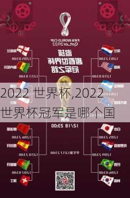 2022 世界杯,2022世界杯冠军是哪个国