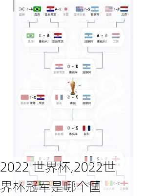 2022 世界杯,2022世界杯冠军是哪个国